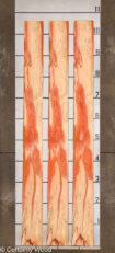 PADAUK_22296-1F_2-1.jpg