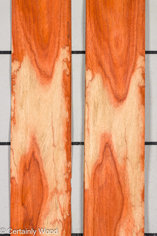PADAUK_22296-2B_1-1.jpg