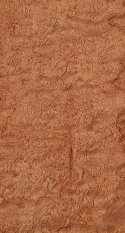Featured Product Image