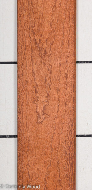 P SAPELE 22410-3