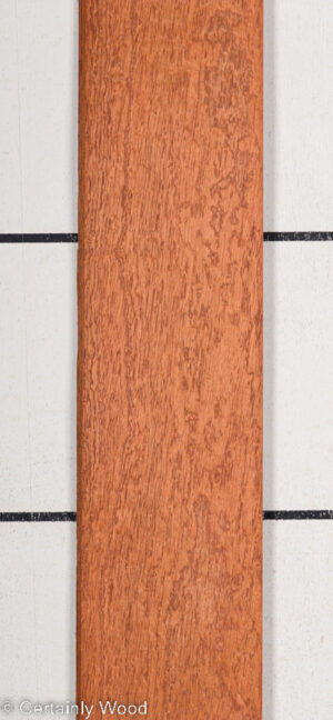 P SAPELE 22410-4