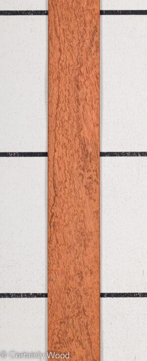 P SAPELE 22410-5