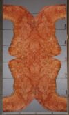 Pelin_Burl_1001-4_3-1.jpg