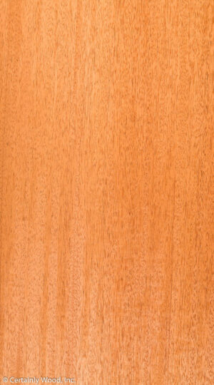 QT MAHOG 19263-2B SA