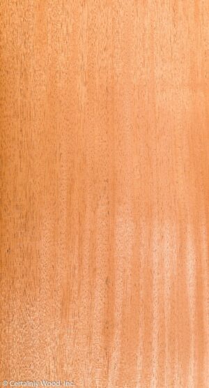 QT MAHOG 19263-3A SA