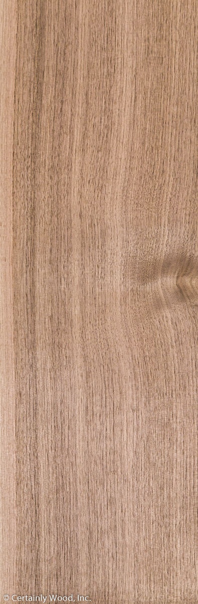 QT_WALNUT_18183-4_01.jpg