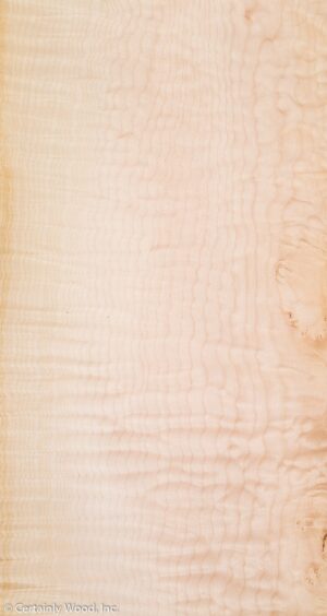 Q MAPLE 19003-1A