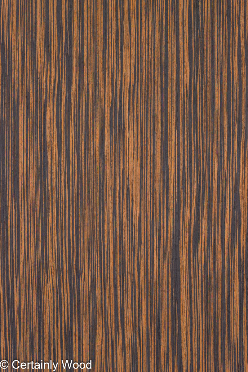 RC_QT_EBONY_10_1.jpg