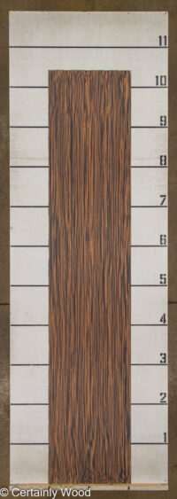 RC_QT_EBONY_10_2.jpg