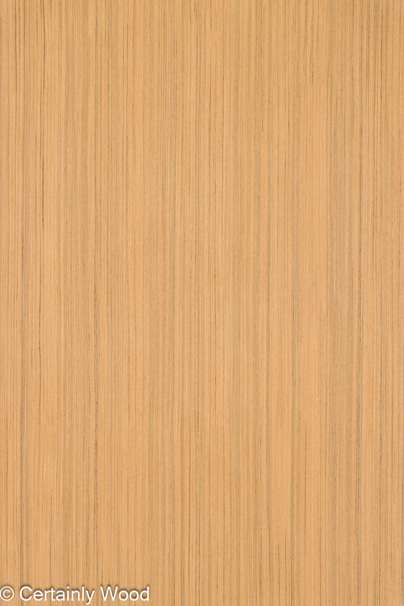 Featured Product Image