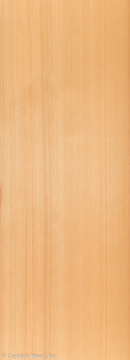 R_CEDAR_21150_01.jpg
