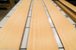 R_CEDAR_21150_02.jpg