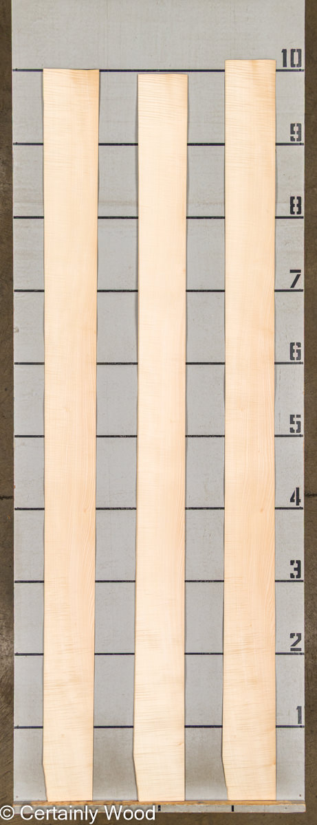 WS FB SYC 21200-03 - Image 2