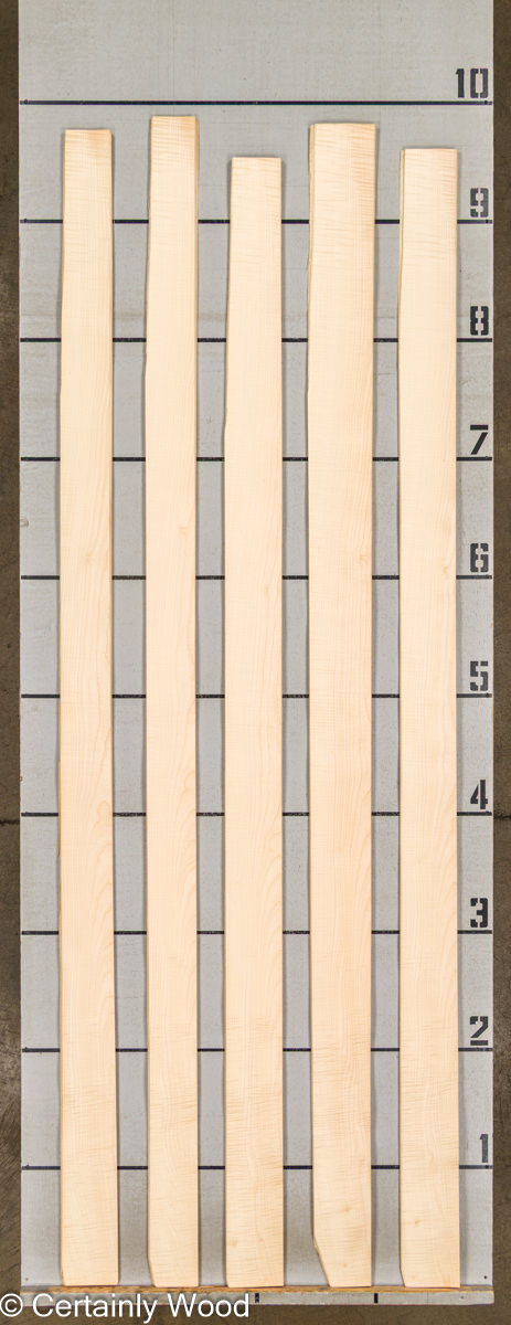 WS FB SYC 21200-10 - Image 2