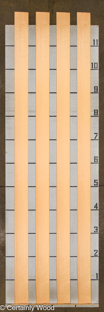 WS QT ANIGRE 25150-1A - Image 2