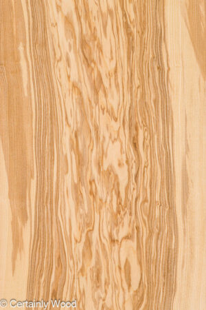 1/18 O ASH 25271-01A