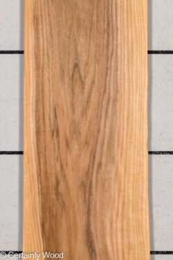 24_WALNUT_25445_1
