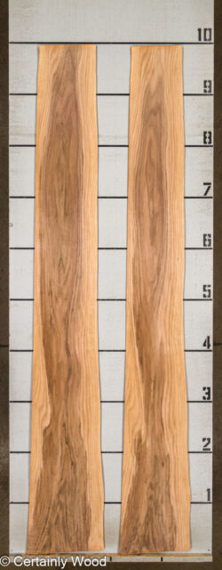 24_WALNUT_25445_2