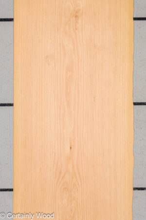 1/28 DOUG FIR 25255-1