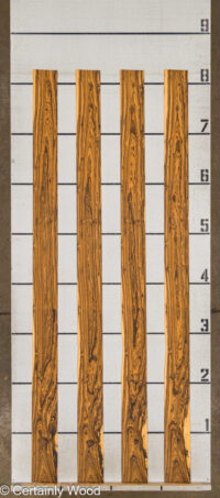BOCOTE_25317-1B_2.jpg