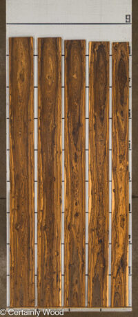 BOCOTE_25317-2_2.jpg