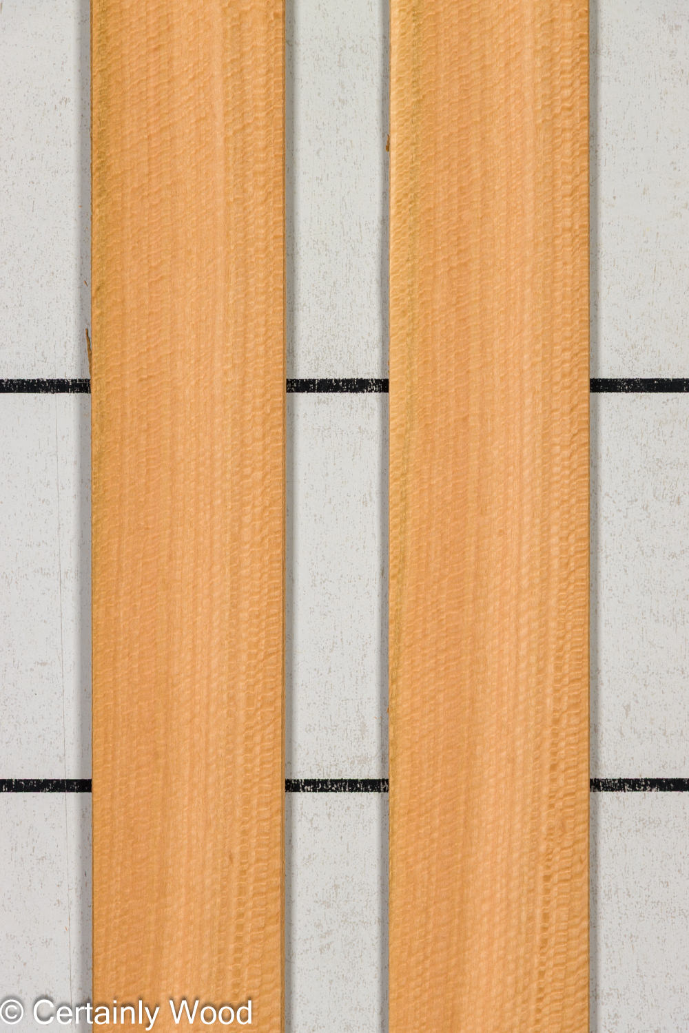 Featured Product Image