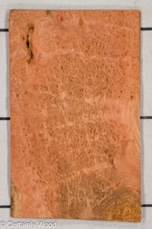 CARP ELM BURL 25257-2