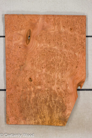 CARP ELM BURL 25257-3A
