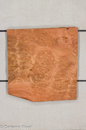 CARP ELM BURL 25257-3C