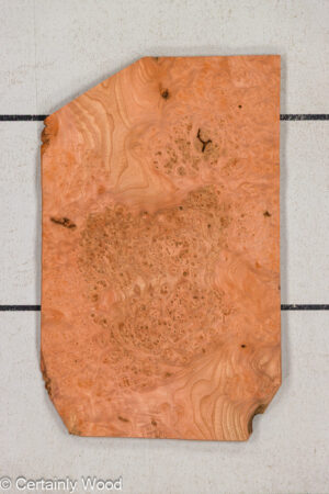 CARP ELM BURL 25257-4