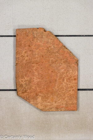 CARP ELM BURL 25257-7