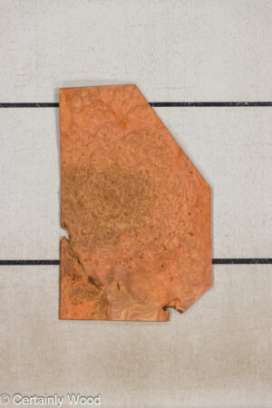 CARP ELM BURL 25257-8