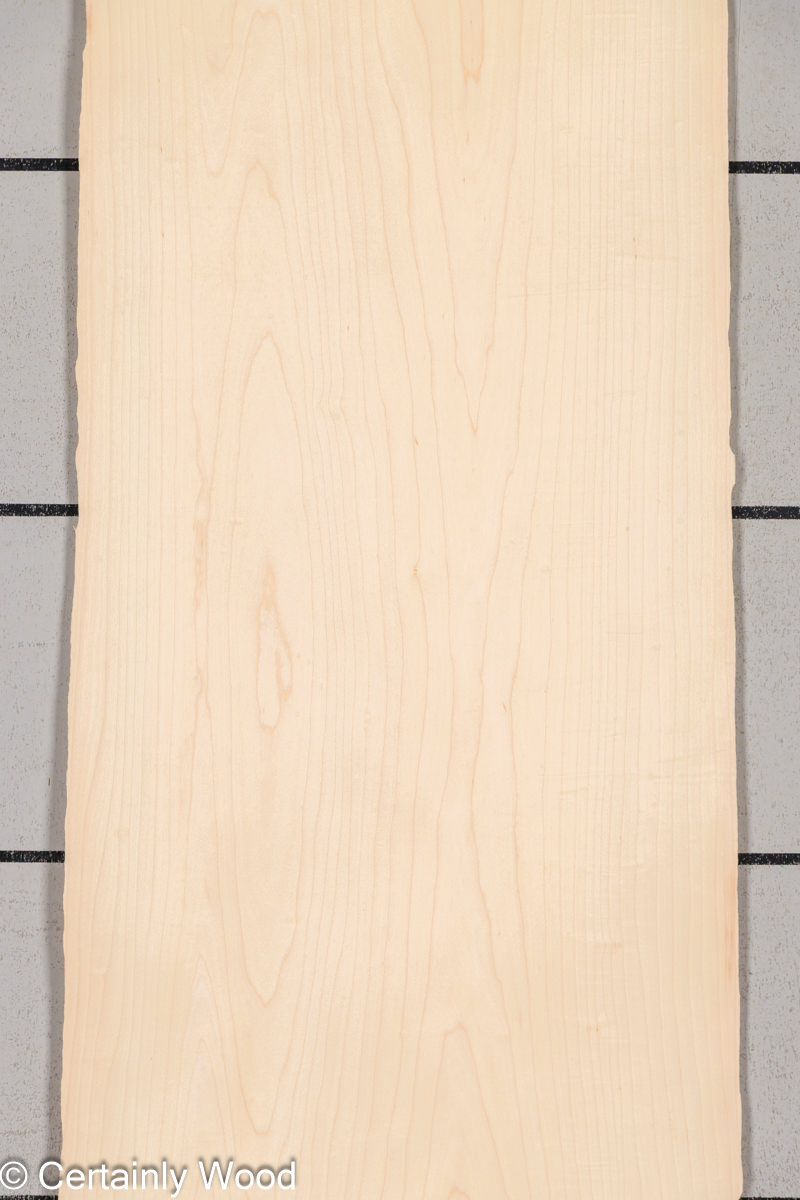 Featured Product Image