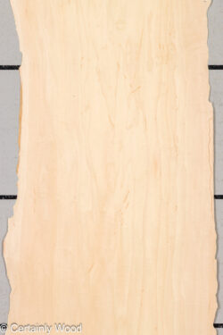 MAPLE_25112_1
