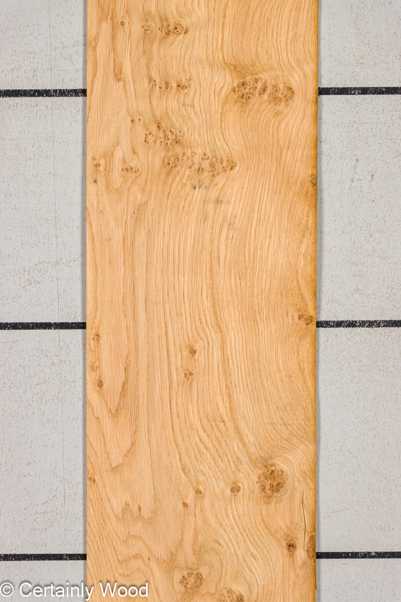 OAK BURL 25256-2A