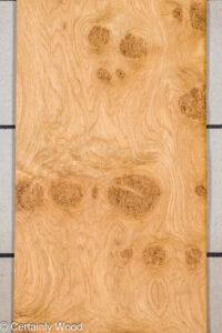 OAK_BURL_25256-3A_1.jpg