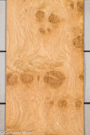 OAK BURL 25256-3A