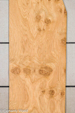 OAK BURL 25256-3B