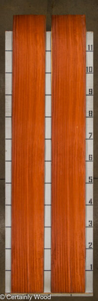 PADAUK_25305-1_2.jpg