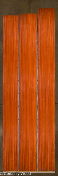 PADAUK_25305-2_2.jpg