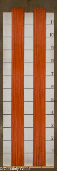 PADAUK_25305-3_2.jpg