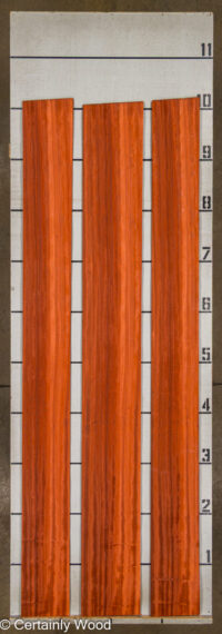 PADAUK_25345-1A_2.jpg