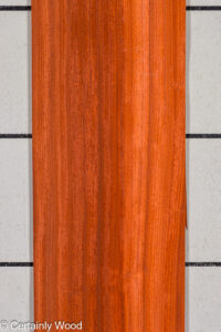 PADAUK_25345-1B_1.jpg