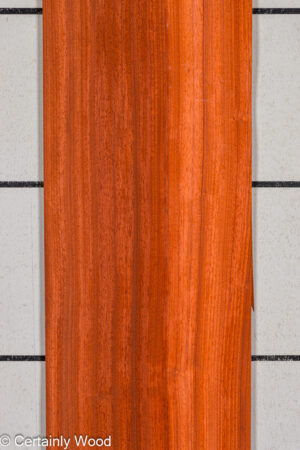 PADAUK 25345-1B