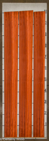 PADAUK_25345-1B_2.jpg