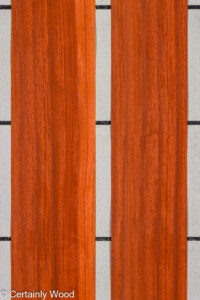 PADAUK_25345-1C_1.jpg
