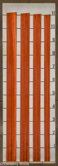 PADAUK_25345-1C_2.jpg