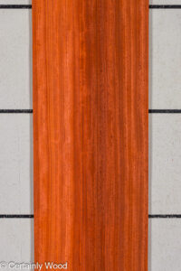 PADAUK_25345-2B_1.jpg