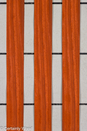PADAUK 25345-2C