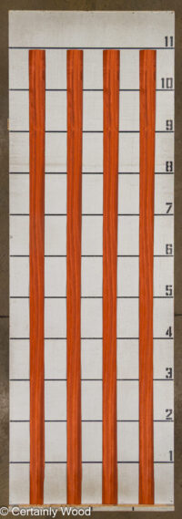 PADAUK_25345-2C_2.jpg